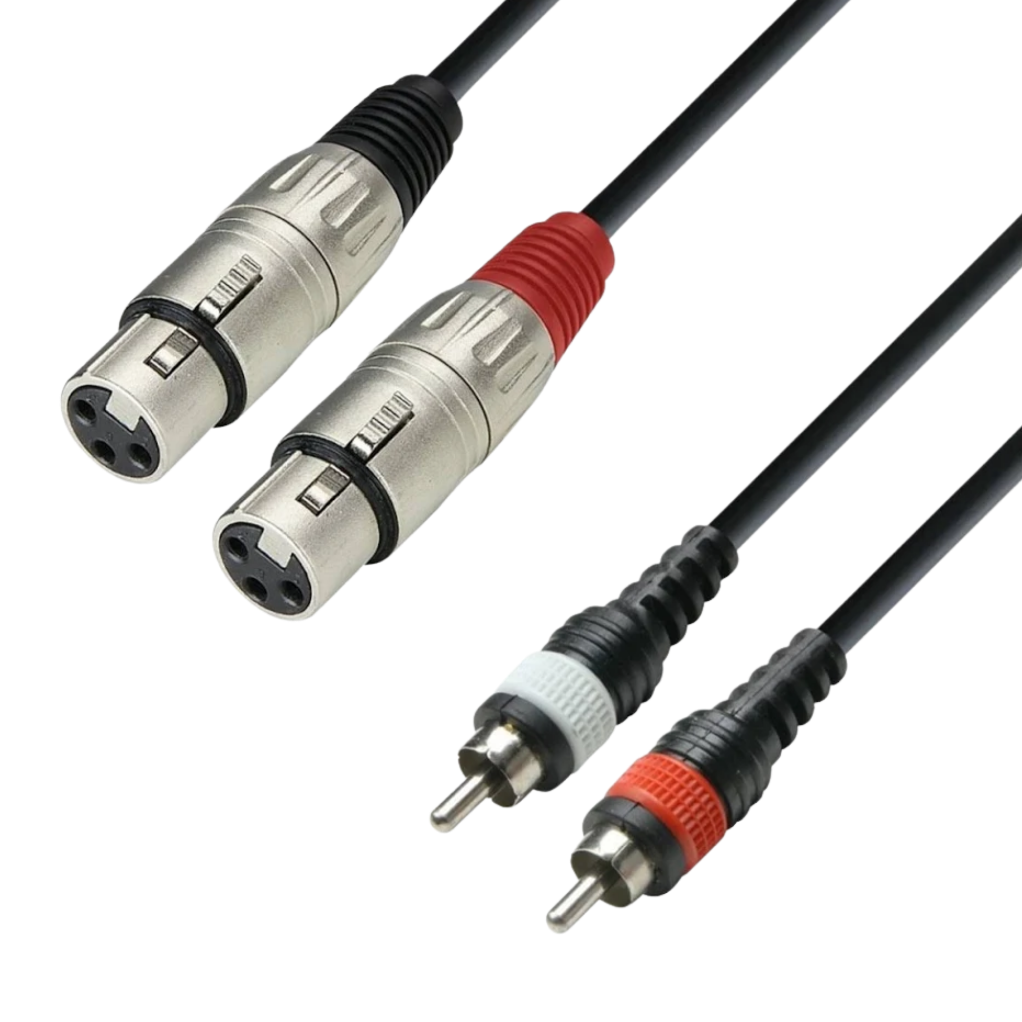 XLR (m) → Tulp kabel
